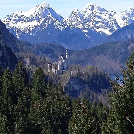 Апартаменти 223 *